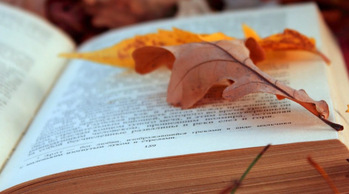 Nazim Hikmet, “Amo in te” 1 autunno libro slider 1728x800 c