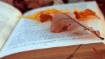 Nazim Hikmet, “Amo in te” 5 autunno libro slider 1728x800 c