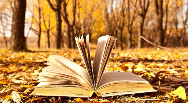 Alda Merini, “Ho bisogno di sentimenti” 1 libri autunno 2015